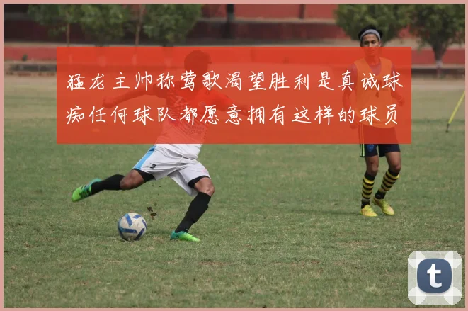猛龙主帅称莺歌渴望胜利是真诚球痴任何球队都愿意拥有这样的球员