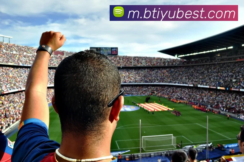 B体育平台生态图